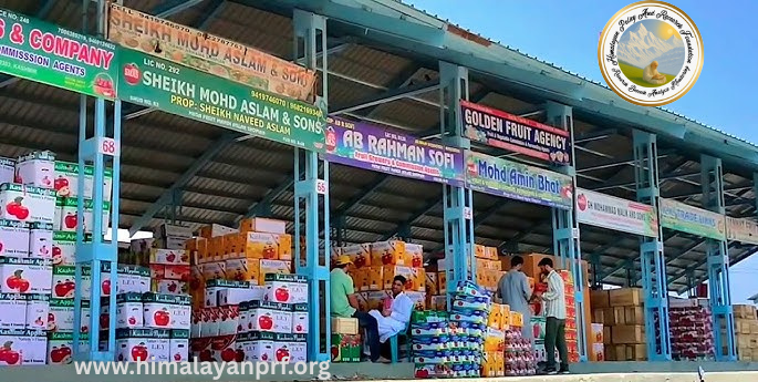 Fruit Mandis of Kashmir: A Neo Stock Market