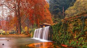Autumn in Kashmir: A Season of Harvest, Memory, and Metamorphosis