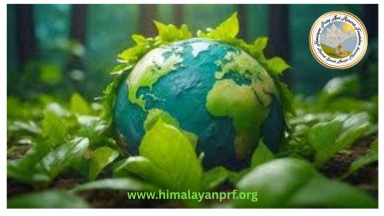 National Energy Conservation Day: From a Burning Planet to a Fragile Valley